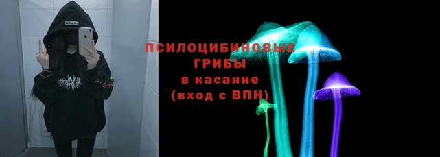 амф Абдулино