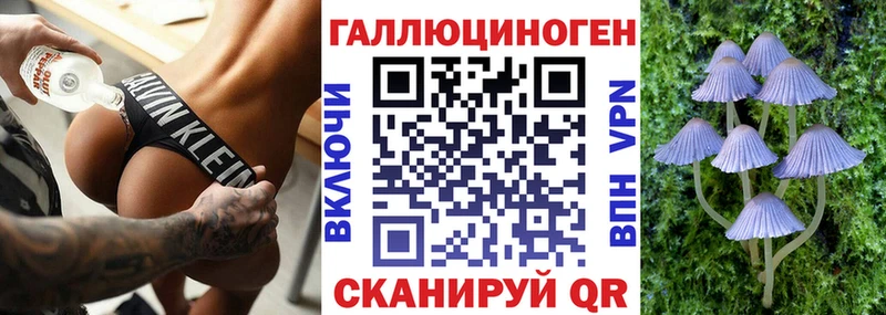 продажа наркотиков Ясный Псилоцибиновые грибы MAGIC MUSHROOMS