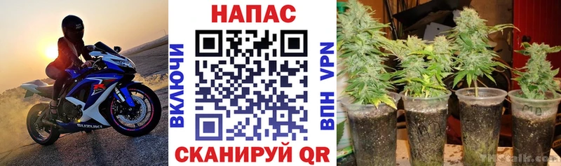 Шишки марихуана THC 21%  Ясный 